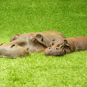 ADHW Hippo Statue Collection Ornaments Home Decoration Outdoor Garden Sculpture Children's Toys Gifts 10.5 X 5 X 7CM ADHW Hippo Statue Collection Ornaments Home Decoration Outdoor Garden Sculpture Children's Toys Gifts 10.5 X 5 X 7CM
