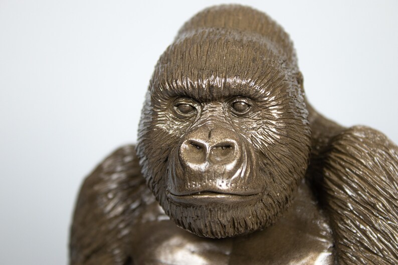 female silverback gorilla female silverback gorilla