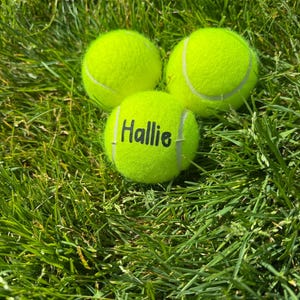 Custom Personalized Tennis Balls Set of 3, 6, 9, 12, 18 or 24 choice of ink color FAST shipping NEW FONT