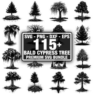 Puede incluir: Una colección de ilustraciones de árboles en blanco y negro, que incluyen varios tipos de árboles con sistemas de raíces detallados. Un letrero central dice "SVG - PNG - DXF - EPS" y "115+ BALD CYPRESS TREE PREMIUM SVG BUNDLE".