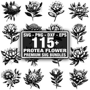 Paquete de más de 110 flores de protea, flores exóticas de protea, descarga instantánea en formato PNG, DXF, EPS y SVG.