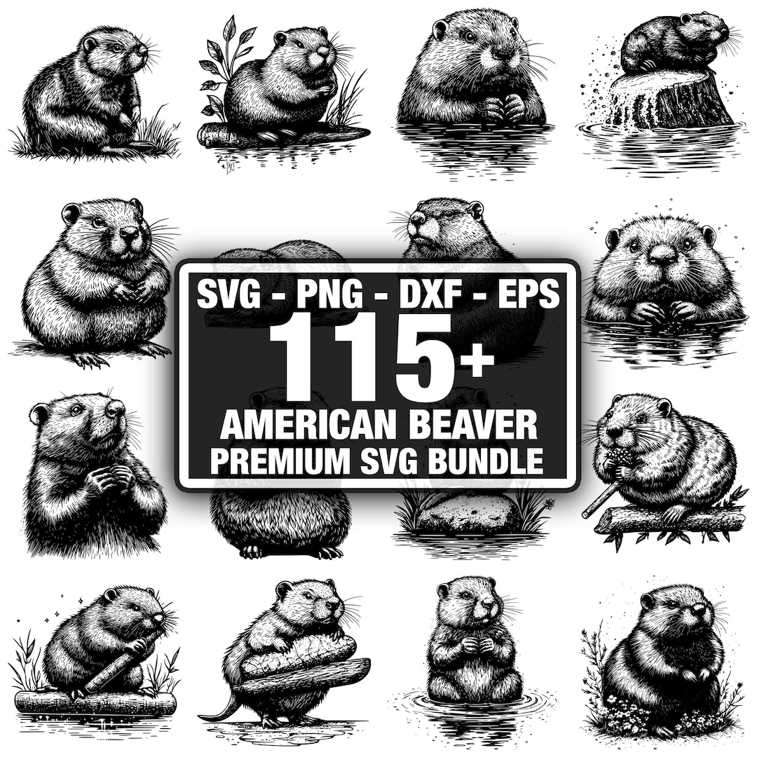 115+ American Beaver Bundle, Beaver Designs, Instant Download Png, Dxf ...