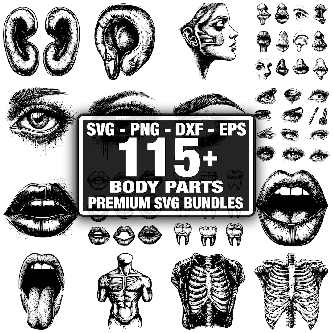 Body Parts SVG Bundle,instant Digital Download Png, Dxf, Eps, Svg - Etsy