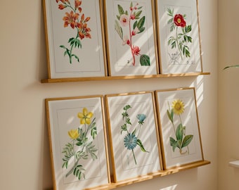 Watercolor Flowers Gallery Wall Art Set of Six, Cottagecore Decor, Floral Art Print, Garden Art, Botanical Prints