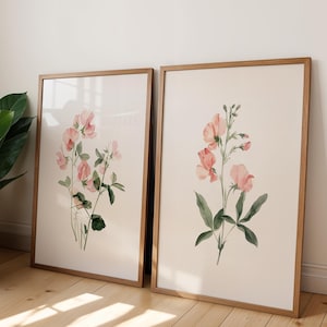 Pink Sweet Pea Floral Prints Set of 2 Watercolor Botanical Wall Art Posters Minimalist Flower Illustration Set Cottagecore Room Decor