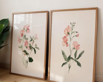 Pink Sweet Pea Floral Prints Set of 2 Watercolor Botanical Wall Art Posters Minimalist Flower Illustration Set Cottagecore Room Decor