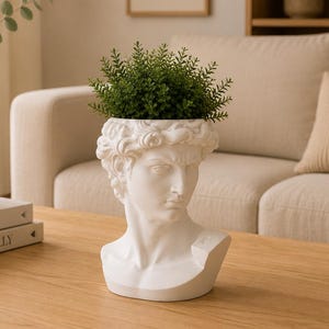May include: A white ceramic planter shaped like a classical male bust, featuring detailed facial features and curly hair. The head serves as a container for a small, dense green plant with numerous tiny leaves, creating a sculptural decorative piece.
