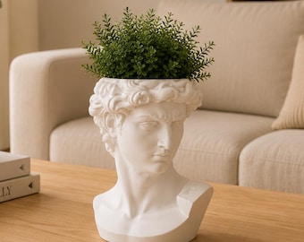David Bust Michelangelo Planter, 3D Printed Greek Statue Plant Pot, Classical Sculpture Planter, Succulent Head Vase, Modern Home Decor Gift