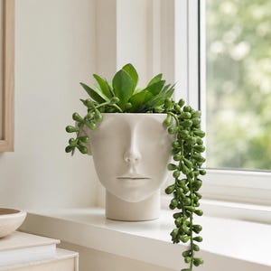 Face Planter, 3D Printed Head Plant Pot, Woman Face Succulent Planter, Modern Sculpture Decor, Unique Indoor Plant Lover Gift