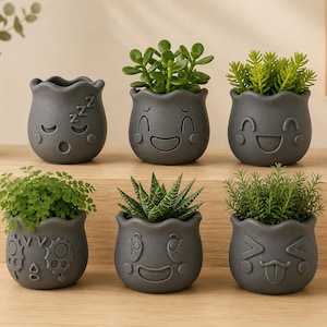 Funny Face Planter Set of 6, 3D Printed Succulent Pots, Emoji Expression Plant Holders, Cute Desk Decor, Unique Plant Lover Gift