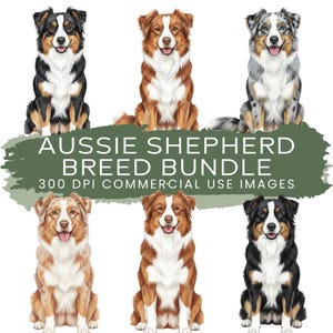 May include: A digital illustration featuring six Australian Shepherd dogs in various colors, including black, brown, and merle. The text "AUSSIE SHEPHERD BREED BUNDLE" is displayed above the dogs, with "300 DPI COMMERCIAL USE IMAGES" below.