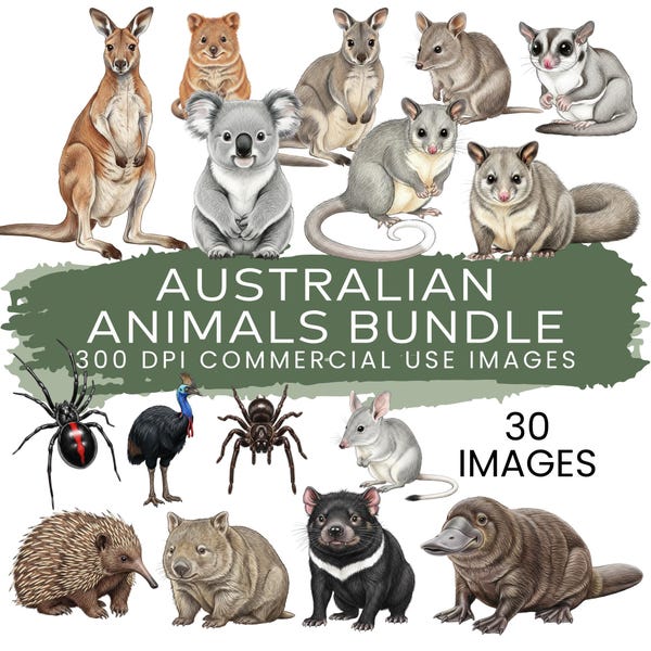 Australian Animals Clipart Bundle | 30 Aussie Wildlife PNG | Koala Kangaroo Wombat Emu | Commercial Use Animal Clip Art Set