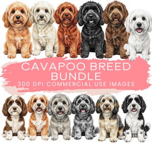 Cavapoo Clipart-paket | Cavapoo PNG-set | Sittande hundar | Illustrerad clipart | Tecknade hundar | Hundpaket