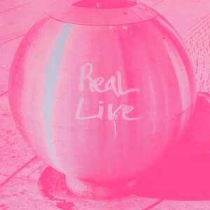 Könnte beinhalten: Ein rosa, kugelförmiger Mülleimer mit den Worten "Real Live" in weißer Schrift. Der Mülleimer hat einen kreisförmigen Sockel und eine breite Öffnung oben. Das Bild hat einen rosa Filter.
