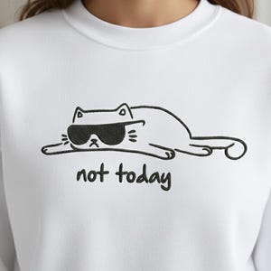 Funny Cat Embroidery Design, Not Today Cat Machine Embroidery File, Sarcastic Humor PES DST File image 4