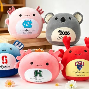 May include: A collection of plush toys in the shape of axolotls, a koala, and crabs. Each toy is a different color and features a college logo and a name with "Class of 2026" or "Class of 2016" written below. The toys are displayed on a white surface.