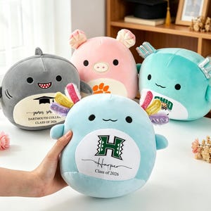 May include: Four plush toys in the shape of animals are displayed. A gray shark, a pink pig, a light blue axolotl, and a teal fish. The axolotl is held by a hand. Each toy has a college logo and name. The shark says "Dartmouth College Class of 2026".