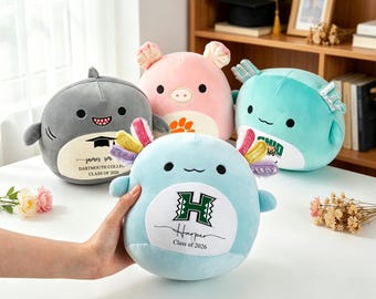 Custom Squishmallow Class of 2026,Plush Gift with Name & Year – Pre-K, High School or College Graduation Gift,Graduation Keepsake