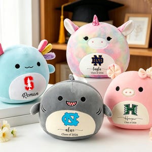 May include: Four plush toys: a blue axolotl, a unicorn, a shark, and a pink pig. Each has a school logo and a name with "Class of 2026". The axolotl has a Stanford logo and the name "Roman". The unicorn has a Notre Dame logo and the name "Layla". The shark has a UNC logo and the name "Alice". The pig has a Hawaii logo and the name "Harper".