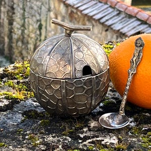 May include: A silver sugar bowl with a lid and a small spoon. The bowl has a textured, geometric pattern. An orange fruit is next to the bowl. The spoon has a decorative handle. The items are on a mossy surface.
