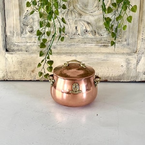 Puede incluir: Una pequeña olla de color cobre con tapa y asas de latón. La olla tiene forma redondeada y un emblema decorativo en la parte delantera. En el fondo cuelgan vides verdes y frondosas. La olla probablemente se utiliza para cocinar o exhibir.