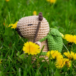 Amigurumi Capybara the Explorer, crochet your own cute capy, instant download PDF PATTERN
