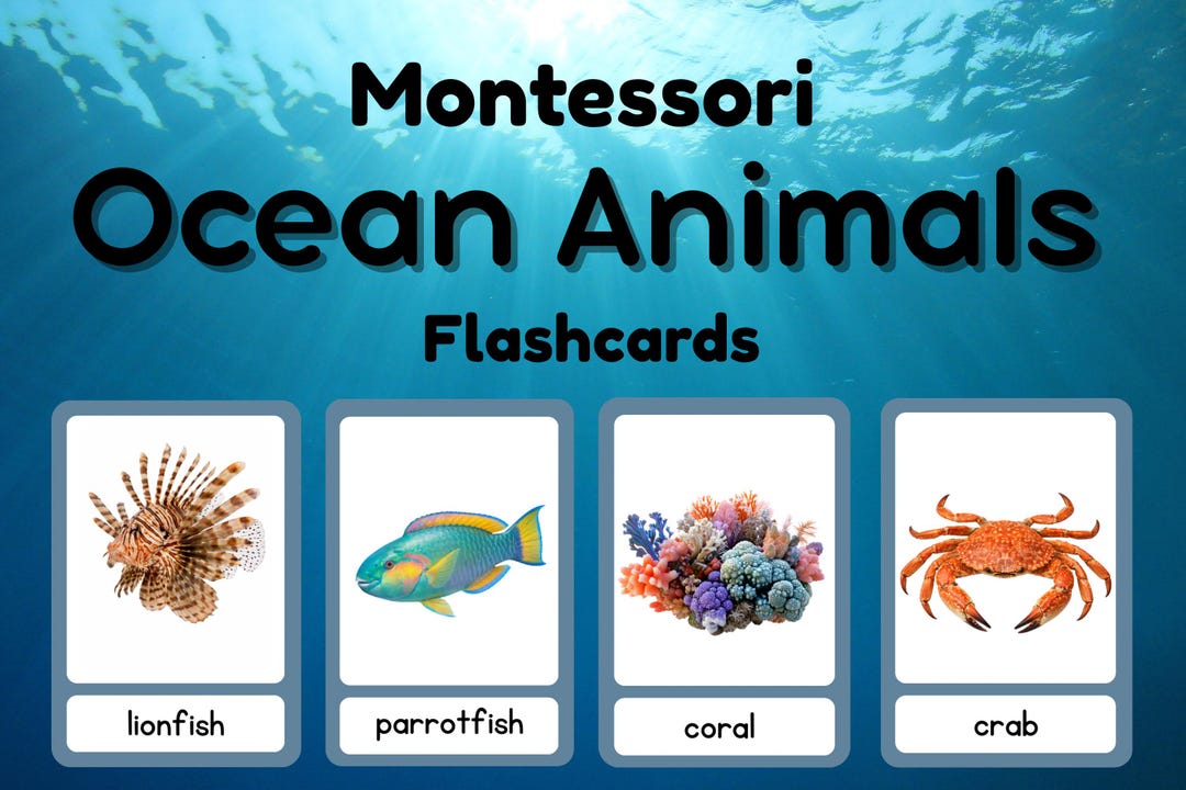 Montessori Ocean Animals Flashcards | Printable PDF | Ocean Life Cards ...