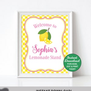 Printable DIGITAL FILE Girls Pink Lemonade Birthday Chalkboard Lemonade First Birthday Board Any Age Change the Sections!