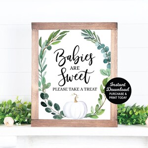 Dessert Sign, Babies Are Sweet Please Take A Treat Sign, White Pumpkin Baby Shower Pumpkin Favor Greenery Baby Shower Fall Baby Shower 0005