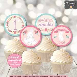 Bunny Birthday Cupcake Toppers, Some Bunny First Birthday, Spring Birthday, Bunny Birthday Decorations, Printable INSTANT DOWNLOAD