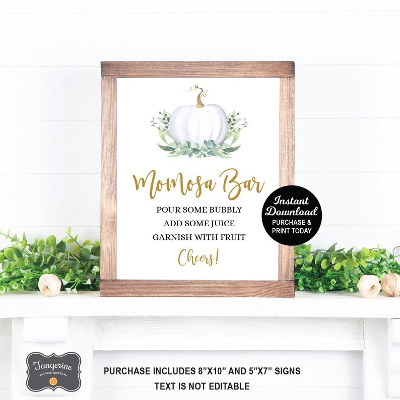 Momosa Bar Sign, White Pumpkin Baby Shower, Mimosa Bar, Little Pumpkin, Greenery Baby Shower, Fall Baby Shower, Printable Sign image 1