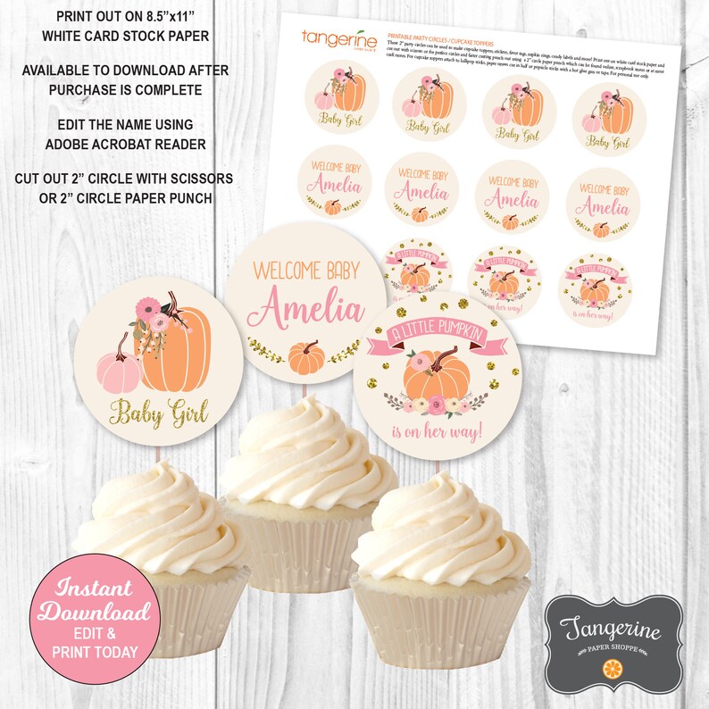 Pumpkin Baby Shower Cupcake Toppers Girl Baby Shower Pink Etsy