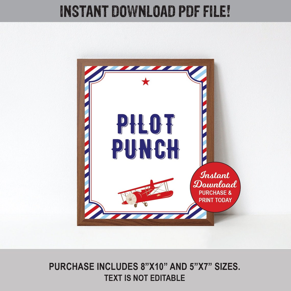 Pilot Punch Sign Airplane Birthday Drink Sign Airplane Baby Etsy