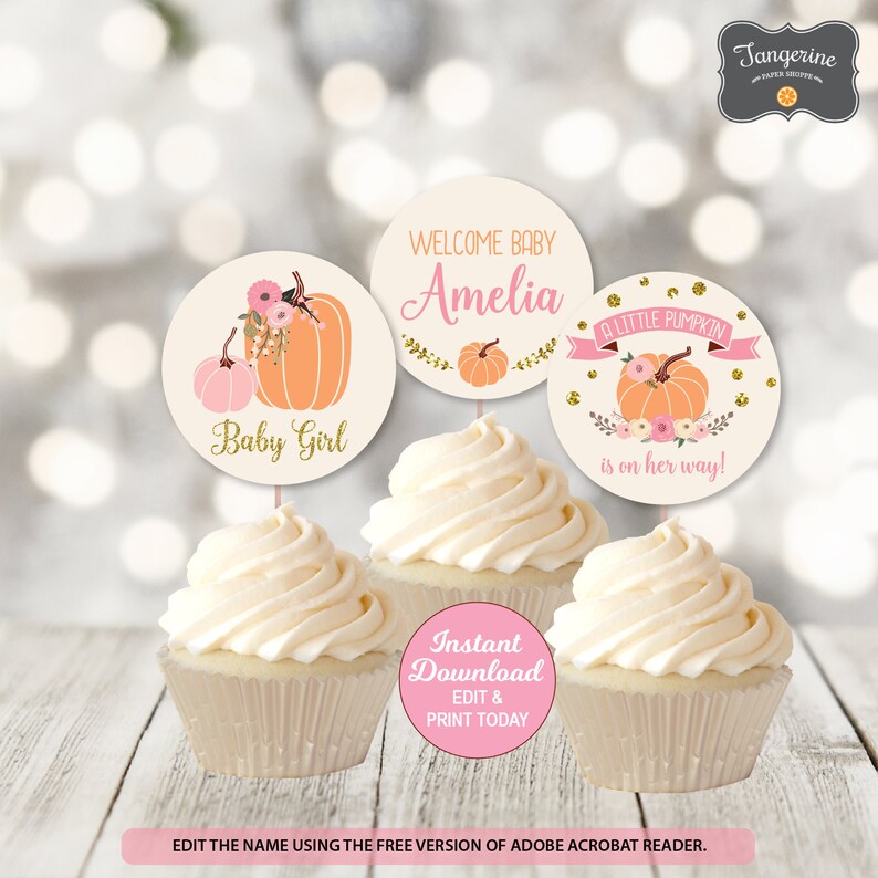Pumpkin Baby Shower Cupcake Toppers Girl Baby Shower Pink Etsy