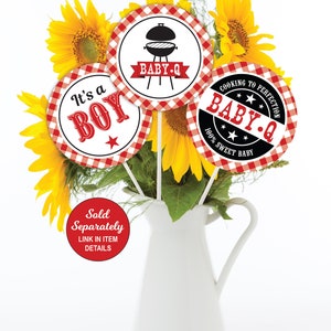 Peut inclure: Trois cercles en papier de 12,7 cm de diam&egrave;tre &agrave; carreaux rouges et blancs avec du texte noir. Le texte indique "It's a Boy", "Baby-Q" avec une image de barbecue et "Baby-Q Cooking to Perfection 100% Sweet Baby".