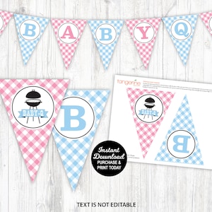 Gender Reveal Baby Q Banner, BBQ Gender Reveal Banner, Printable Baby Q Banner, Couples Gender Reveal, Summer Gender Reveal