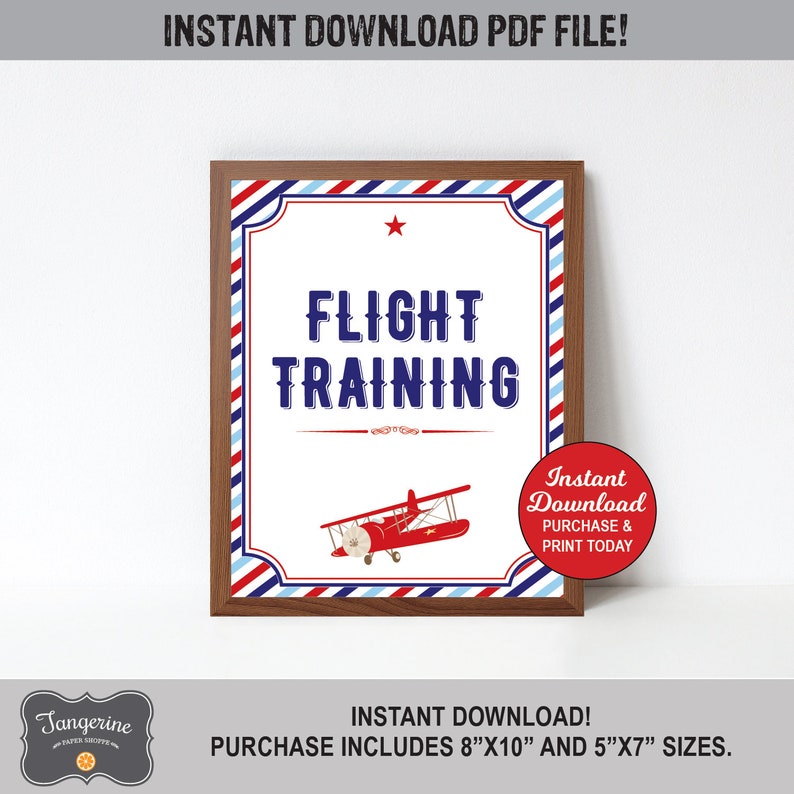 Airplane Birthday Signs Set, Printable Airplane Party Signs, Time Flies Airplane, Boy 1st Birthday, Vintage Airplane, INSTANT DOWNLOAD image 3