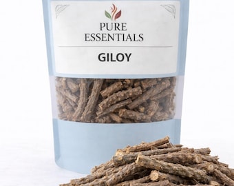 Giloy hela torkade stjälkbitar traditionell botanisk leverans Tinospora Cordifolia örtråvara för botaniska samlingar