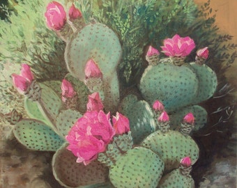Pink Cactus Bloom, Desert Oil Painting, Cactus Blooming, Spring in the Desert, Desert Bloom, 12 X 12 oil painting,Nature in the Desert