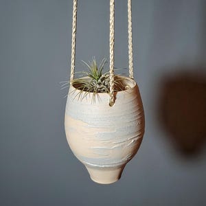 May include: A hanging ceramic planter with a rounded, tapered base and a textured, two-tone finish in cream and pale blue. The vessel is suspended by two braided beige cords and contains a small, spiky green air plant nestled inside the opening.