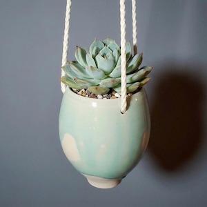 May include: A hanging succulent plant in a light blue ceramic pot with white accents. The pot is suspended by a white rope against a gray background. The succulent has pale green leaves and sits atop small pebbles.
