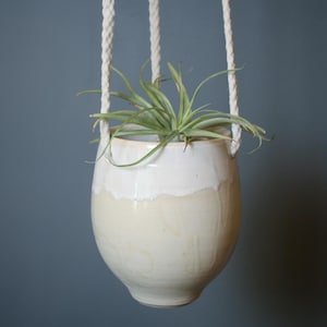May include: A cream-colored ceramic hanging planter with a white upper section, holding a green air plant. The planter is suspended by thick, off-white rope. The background is a solid, muted blue-gray.