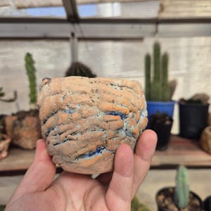 Pode incluir: Um pequeno vaso de cerâmica feito à mão com uma superfície texturizada e áspera. O vaso é principalmente bege com raias azuis e laranja. O vaso é segurado em uma mão, com outras plantas em vasos ao fundo.