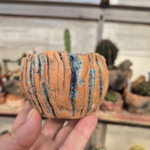 May include: A small, handmade ceramic planter with a textured, orange exterior and vertical blue streaks. The round pot is held in a hand, with other potted plants visible in the background. Ideal for small succulents.