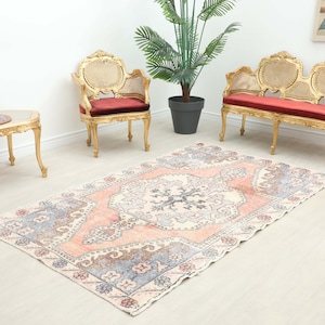 Puede incluir: Una alfombra rectangular de estilo vintage con un diseño de medallón central en tonos rosa, azul y crema. La alfombra está colocada sobre un suelo de color claro, con muebles antiguos y una planta en maceta en el fondo.