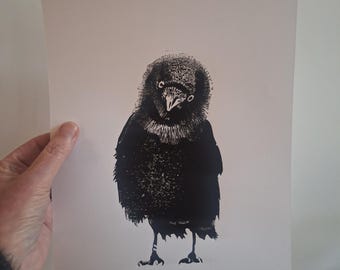 Hand-printed linocut / jackdaws / limited edition / black and white / art print / modern artwork / bird linocut