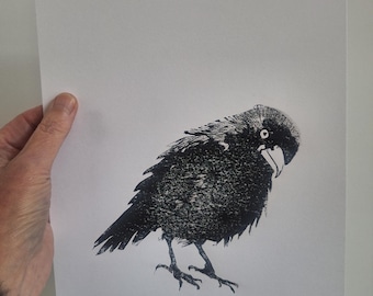 Linocut/ bird/ crow/ jackdaw