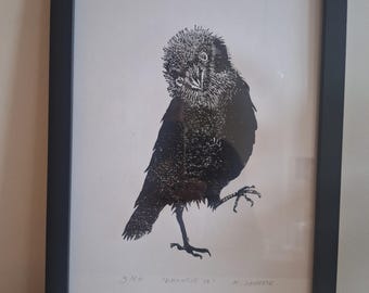 Linoprint/ bird/ crow/ jackdaw/ graphic on A4 format