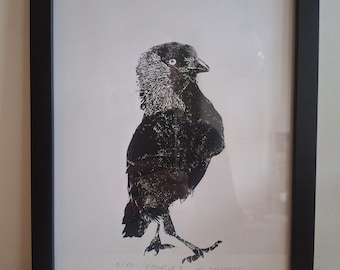 Linoprint crow/ jackdaw