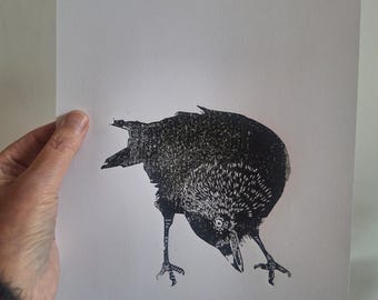 Linoprint bird/ jackdaw/ crow/ black bird